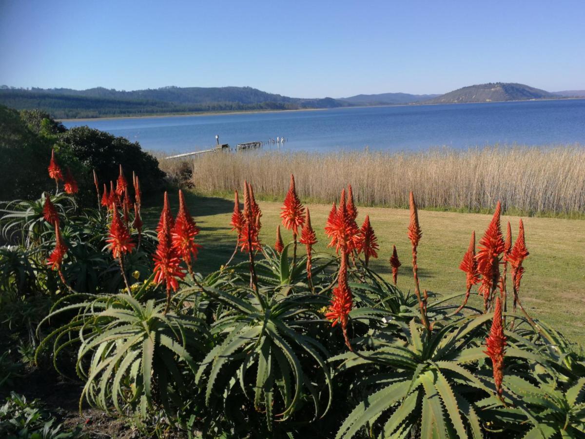 Kairos On The Lake, Swartvlei Lake, Sedgfield, Garden Route سيدجفيلد المظهر الخارجي الصورة