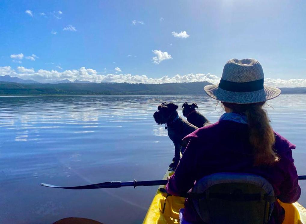 Kairos On The Lake, Swartvlei Lake, Sedgfield, Garden Route سيدجفيلد المظهر الخارجي الصورة